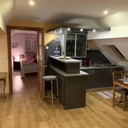 公寓 Apartament Zuru Szczyrk *